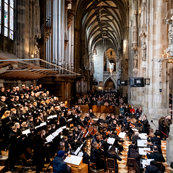 Stephanifest / Erzdiözese Wien/Schönlaub, Stephan Schönlaub