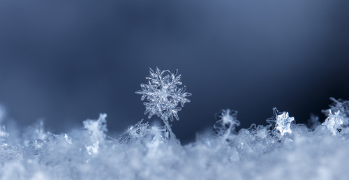 Schneekristall / iStock/Vadym Cherenko, Vadim Cherenko Schneekristall