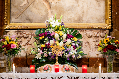 Transitusfeier 800 Jahre Franzisku / Erzdiözese Wien/ Schönlaub, Stephan Schönlaub Transitusfeier 800 Jahre Franzisku