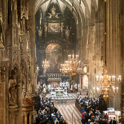 Allerseelen Requiem im Stephansdom